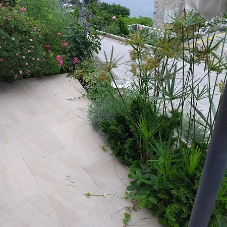 New App For 2 Apartment